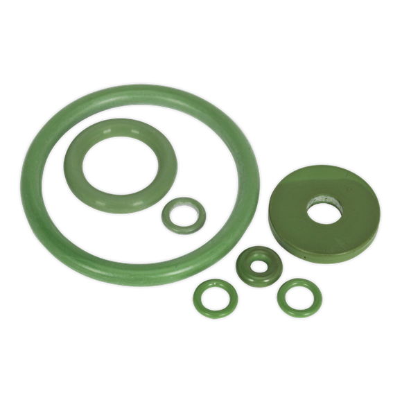 [210-004] Viton® Seal Kit SCSGPRK