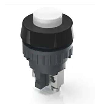 Push button Switch : 1.10.001.001/0205 : RAFI
