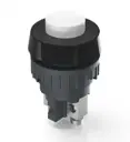 Push button Switch : 1.10.001.001/0205 : RAFI
